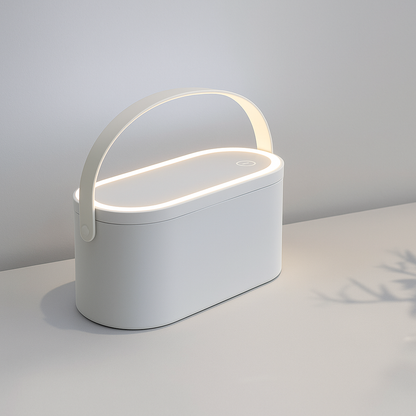 Portable LED Light Storage Box Beauty And Makeup Mirror